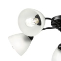 Lampa sufitowa ARCO 5-punktowa CZARNA E27 transparentne klosze
