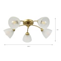 Lampa sufitowa ARCO 5-punktowa ZŁOTA E27 transparentne klosze