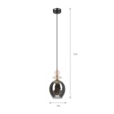 Elegancka lampa wisząca 1-punktowa VELLO E27 szklany dymny klosz