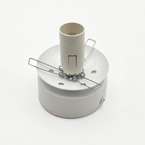 Elegancka lampa sufitowa ELIAS 1- punktowa BIAŁA E14 z mlecznym kloszem