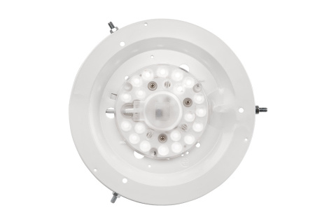 VENUS plafon LED 12W drewniany 27 cm biały VENUS plafon LED 12W drewniany 27 cm biały